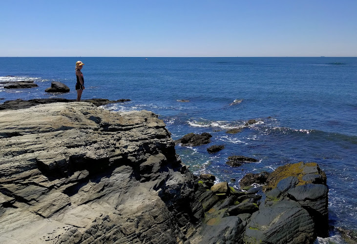 Clambake Club of Newport - photo