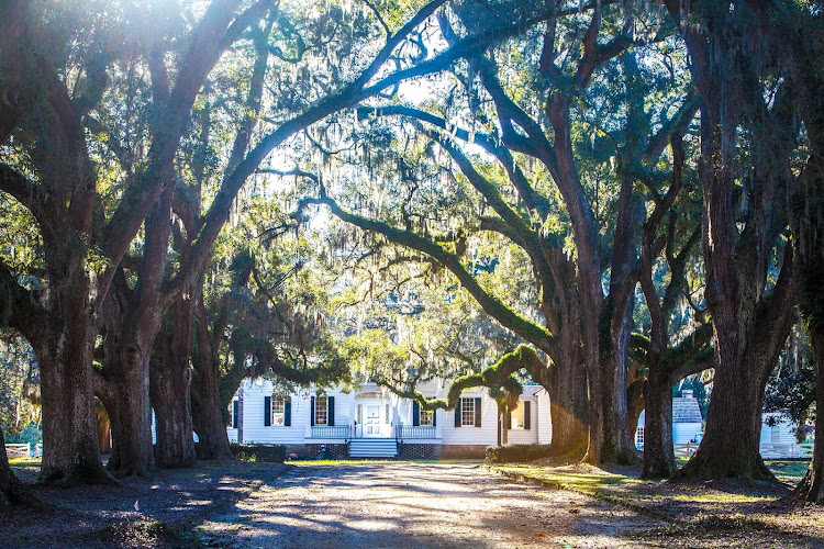 Congaree Golf Club - photo