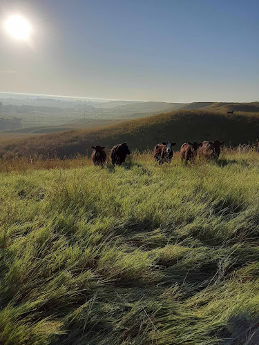 Dry Creek Farm & Ranch - photo