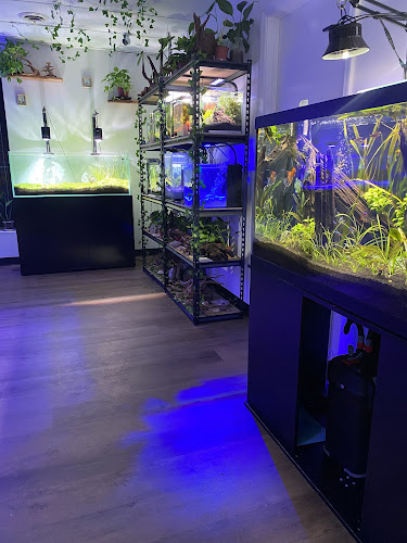 Tofu's Tanks — Aquarium in Brentwood, Tennessee