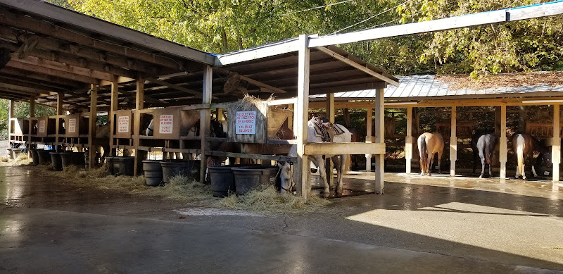 Big Rock Dude Ranch at Ponderosa LLC - photo
