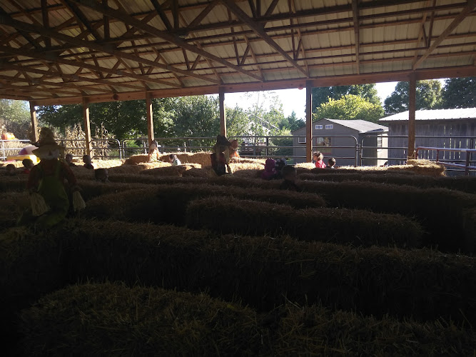 Walden Pumpkin Farm - corporateevents.at