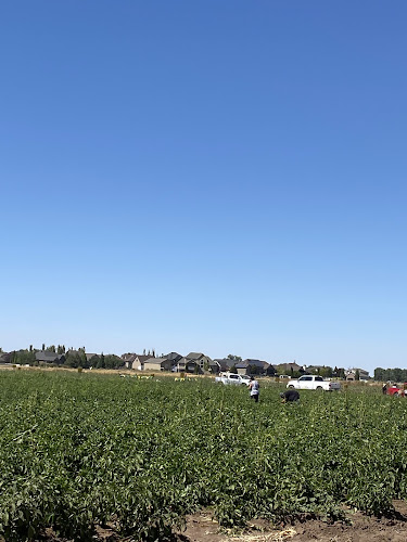Day Farms - photo