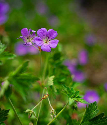 Photography Workshops of Utah - corporateevents.at