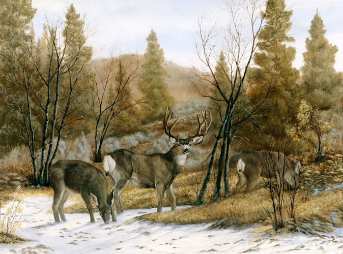 Gasser's Mountain Arts - corporateevents.at