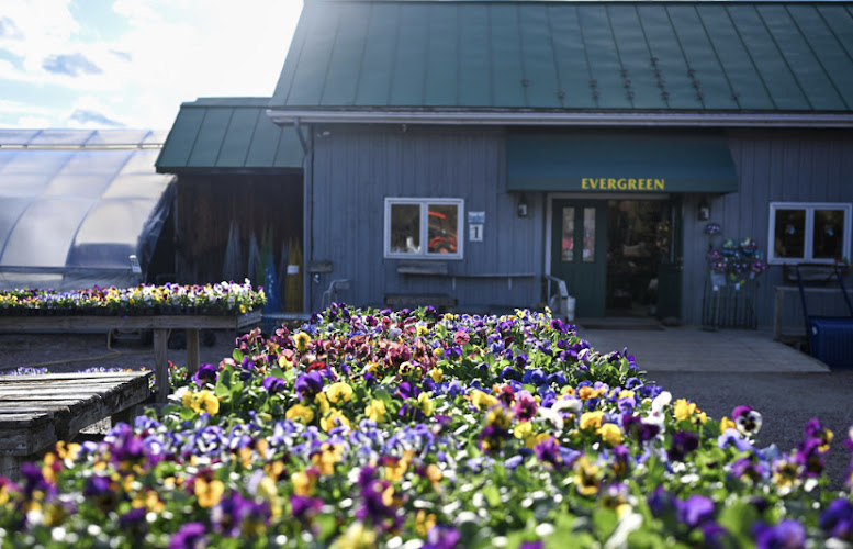 Evergreen Gardens of Vermont — Outdoor Venue in Waterbury, Vermont