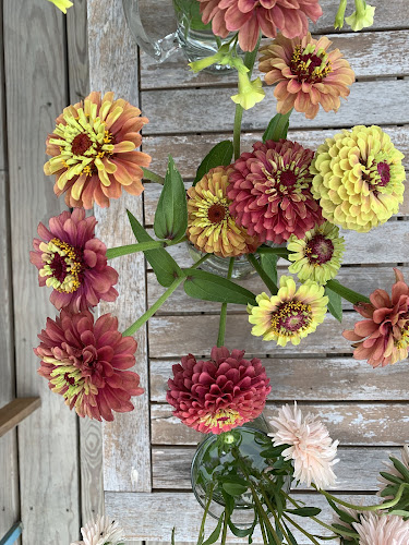 Sow and Surrender Flower Farm — Barn or Farm in Waterbury, Vermont