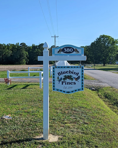 Bluebird Pines - corporateevents.at