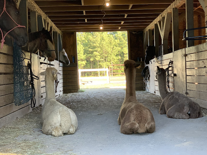 Kay's Acres, LLC - corporateevents.at