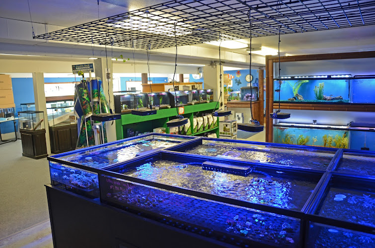 Aquarium Paradise - corporateevents.at