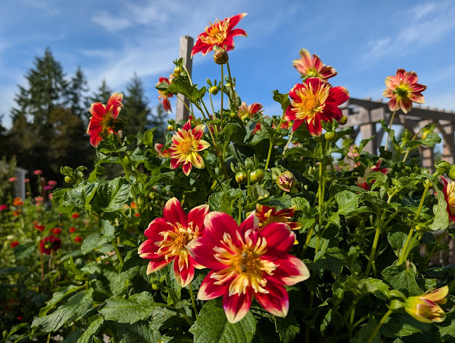 Sammamish Botanical Garden Society Heritage Garden - corporateevents.at