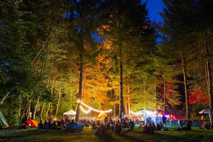 Timber! Outdoor Music Festival - photo