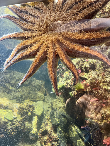Breazeale Interpretive Center and Aquarium - photo