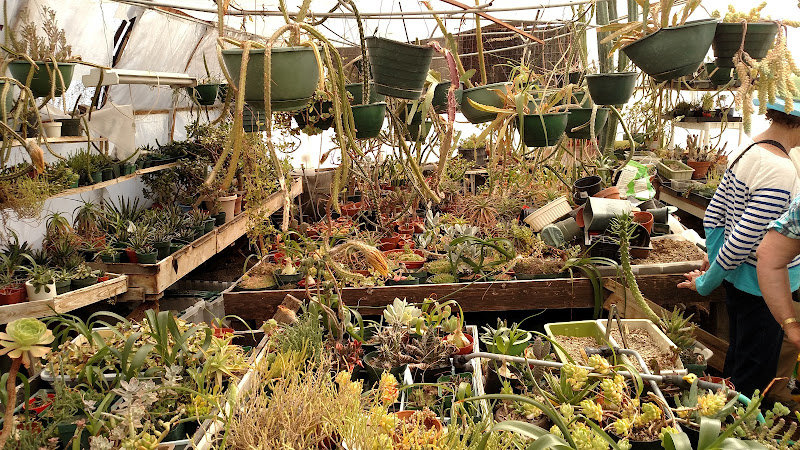 HILLSIDE DESERT Botanical GARDEN - corporateevents.at