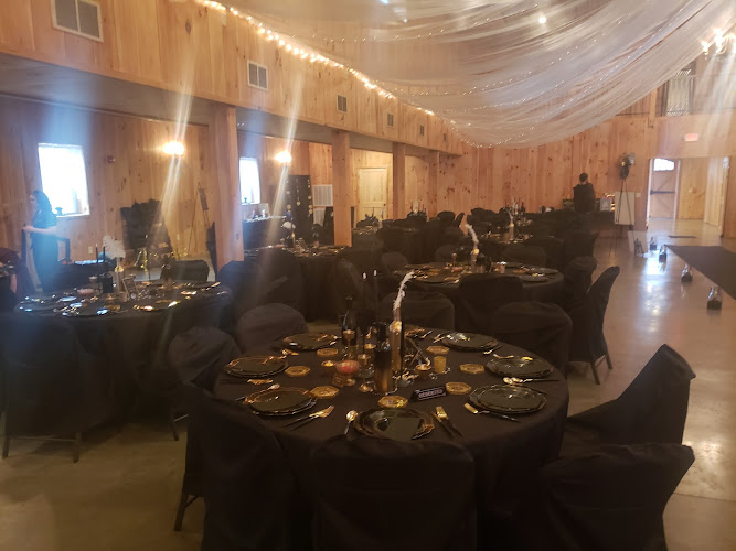Daydream Venue - photo
