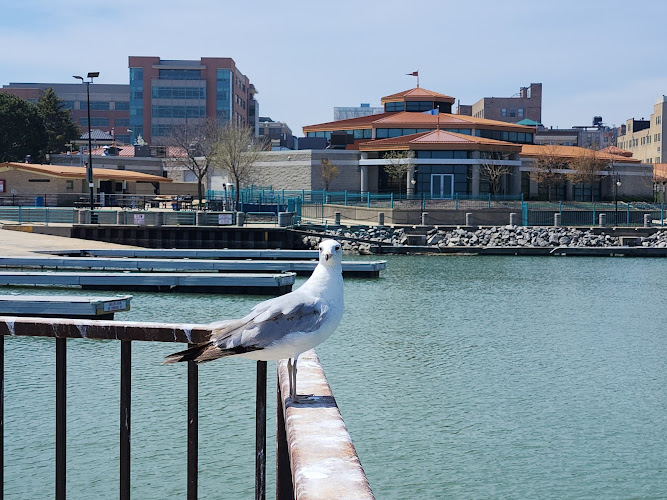 Festival Park, Racine Civic Center — Conference Center in Racine, Wisconsin