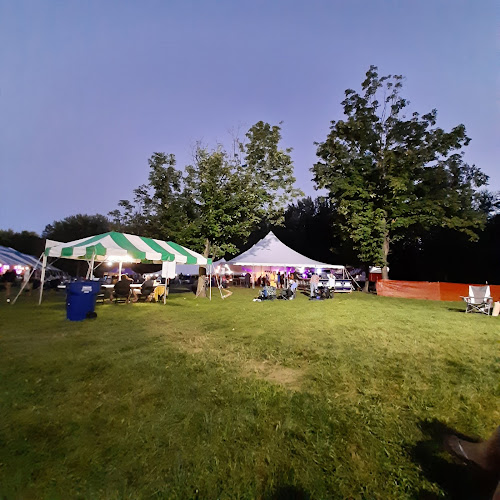 Big Bull Falls Blues Fest - photo