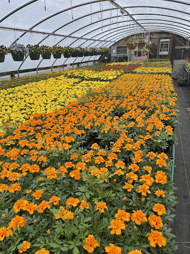 Garden Path Greenhouses LLC — Outdoor Venue in Wausau, Wisconsin