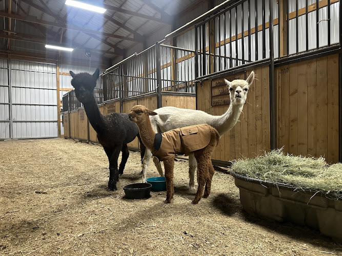 Carbon County Fairgrounds Horse Barn - photo