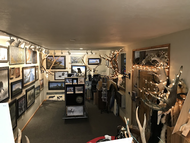 Bruce Speidel Art Gallery — Art Gallery in Sundance, Wyoming