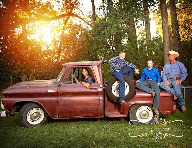Gail Carver Photography, LLC - photo