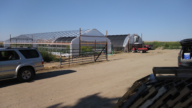 Lloyd Craft Farms CSA - photo